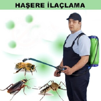Yalıhüyük Böcek İlaçlama